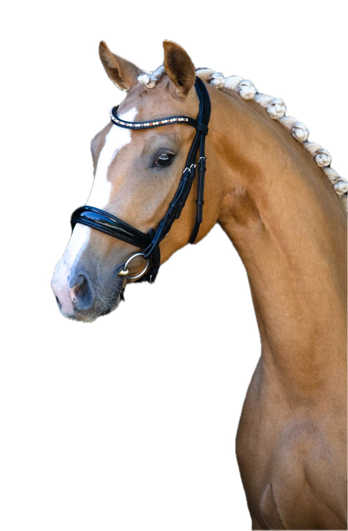 Palomino met een anatomisch Bridle2Fit hoofdstel en een kristallen frontriem