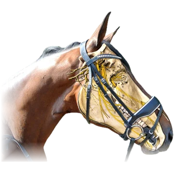 Hoofdstel over een paardenschedel