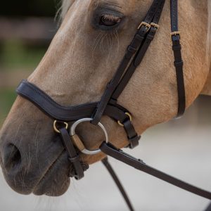 Hoofdstel Accessoires