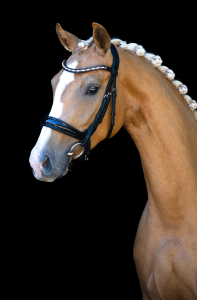 bridle2fit anatomisch hoofdstel