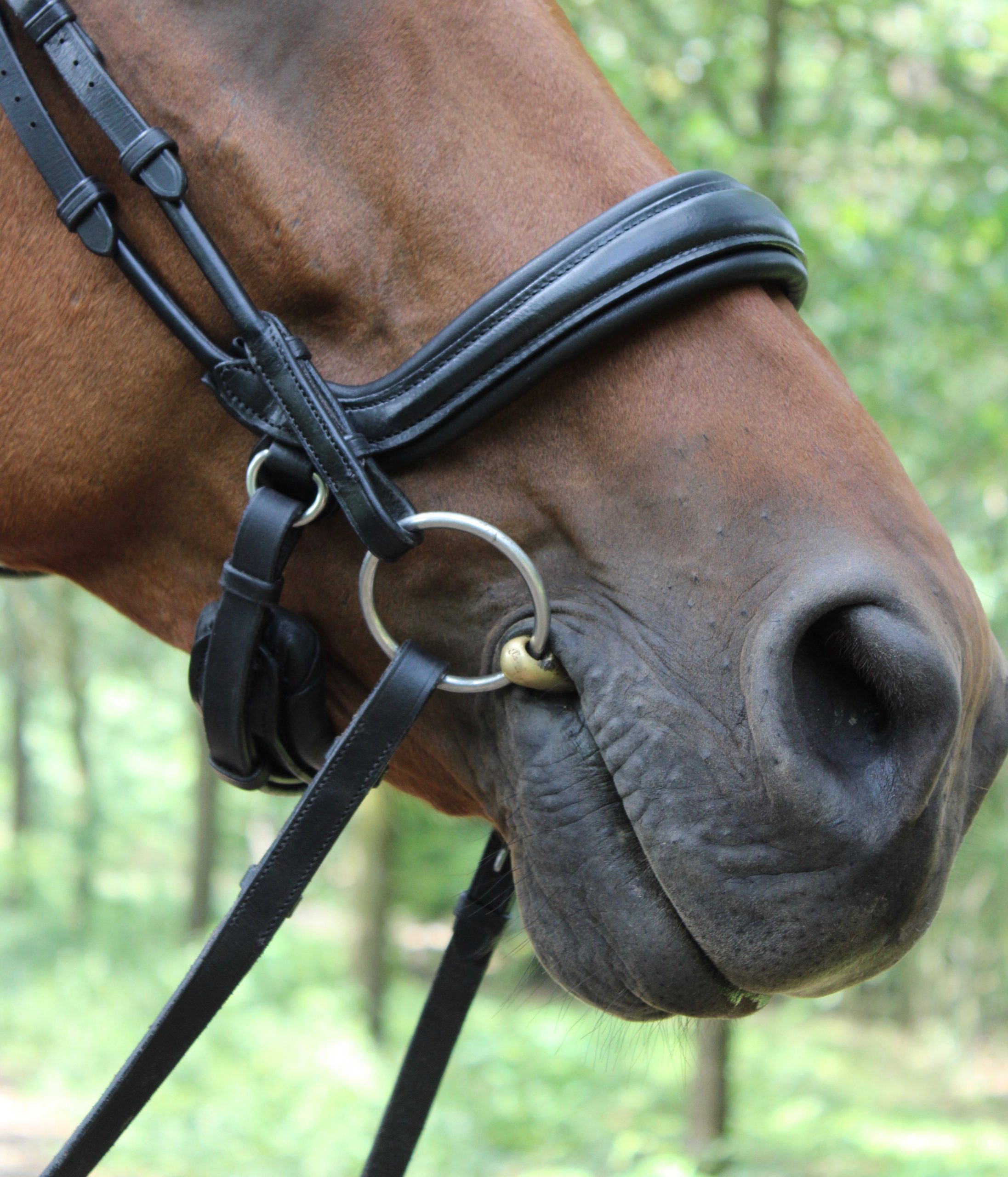 Bridle2Fit Neusriem S5