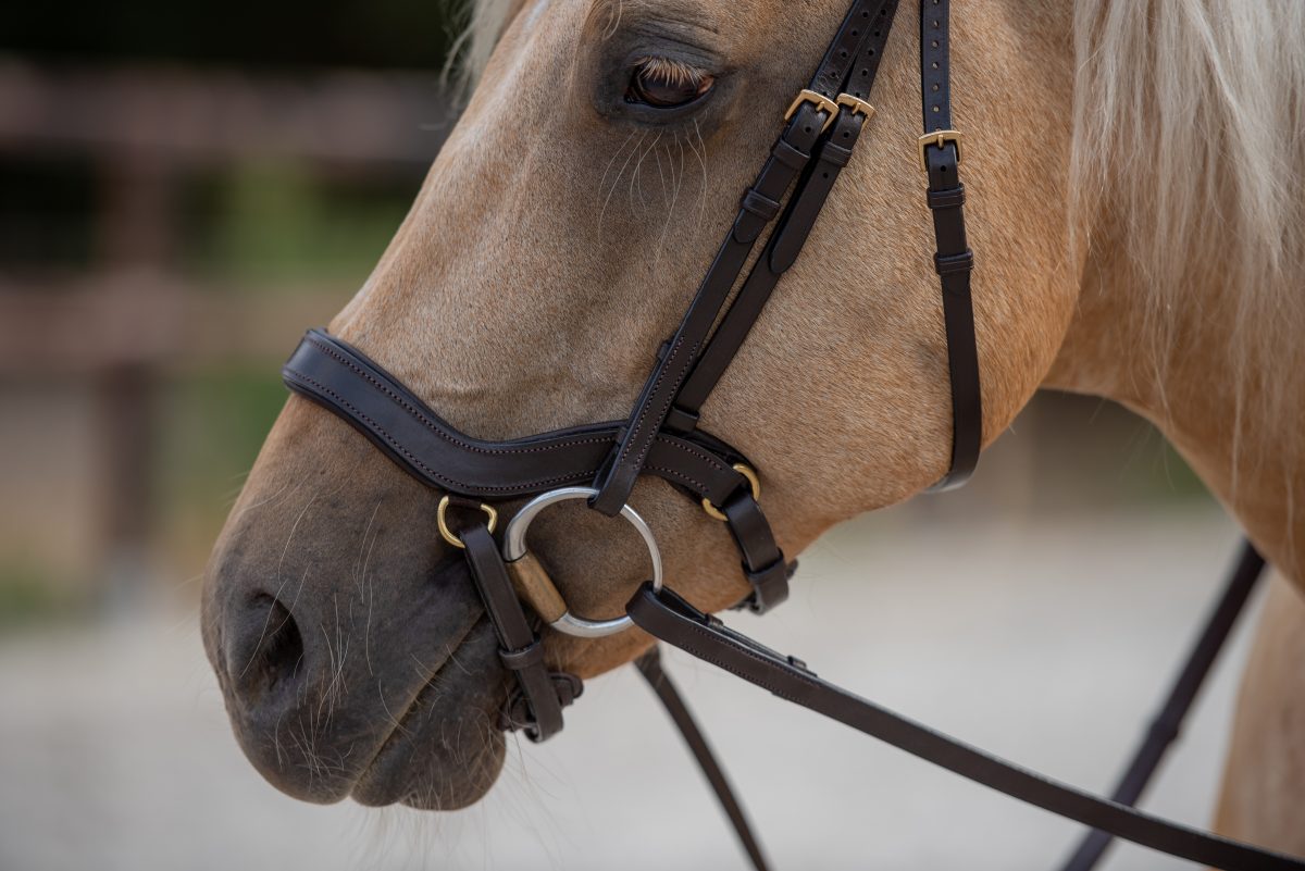 Bridle2Fit Neusriem J1