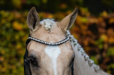 Swarovski Browband Bridle2Fit